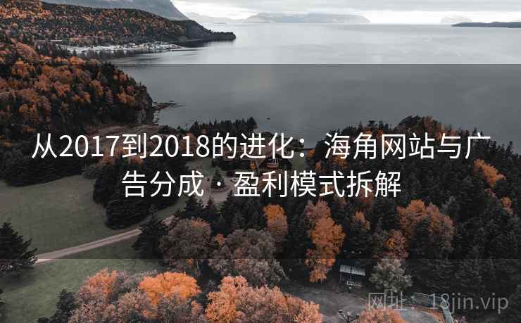 从2017到2018的进化：海角网站与广告分成 · 盈利模式拆解