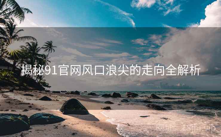 揭秘91官网风口浪尖的走向全解析 揭秘91官网风口浪尖的走向全解析